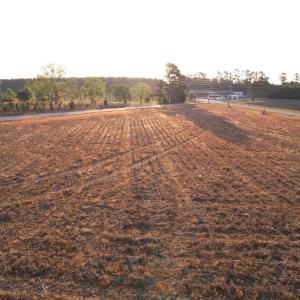 Photo #4 of Parcel C - Vox Hwy., Johnsonville, SC 2.1 acres