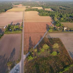 Photo #6 of Parcel C - Vox Hwy., Johnsonville, SC 2.1 acres