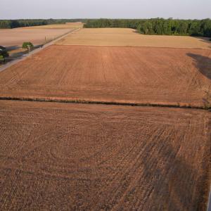 Photo #5 of Parcel C - Vox Hwy., Johnsonville, SC 2.1 acres