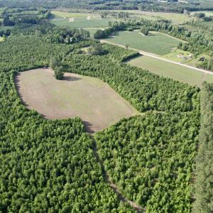 Photo #13 of 85± Acres - Muddy Creek Rd., Johnsonville, SC 85.0 acres