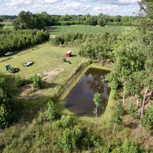 Photo #28 of 85± Acres - Muddy Creek Rd., Johnsonville, SC 85.0 acres