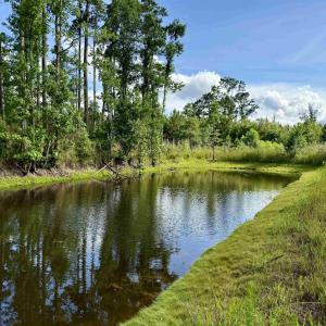 Photo #1 of 85± Acres - Muddy Creek Rd., Johnsonville, SC 85.0 acres