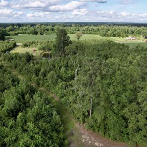 Photo #27 of 85± Acres - Muddy Creek Rd., Johnsonville, SC 85.0 acres
