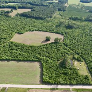 Photo #21 of 85± Acres - Muddy Creek Rd., Johnsonville, SC 85.0 acres