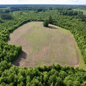 Photo #20 of 85± Acres - Muddy Creek Rd., Johnsonville, SC 85.0 acres