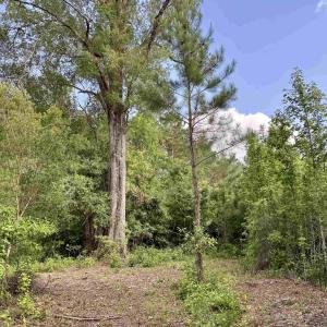 Photo #8 of 85± Acres - Muddy Creek Rd., Johnsonville, SC 85.0 acres