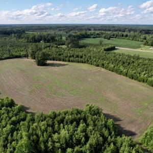 Photo #16 of 85± Acres - Muddy Creek Rd., Johnsonville, SC 85.0 acres