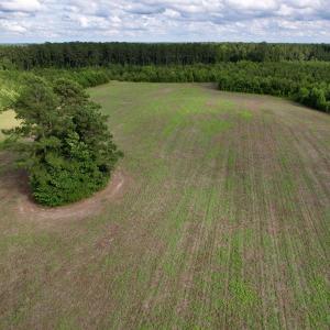 Photo #26 of 85± Acres - Muddy Creek Rd., Johnsonville, SC 85.0 acres