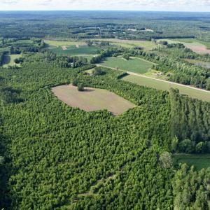 Photo #15 of 85± Acres - Muddy Creek Rd., Johnsonville, SC 85.0 acres