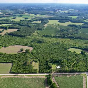Photo #22 of 85± Acres - Muddy Creek Rd., Johnsonville, SC 85.0 acres