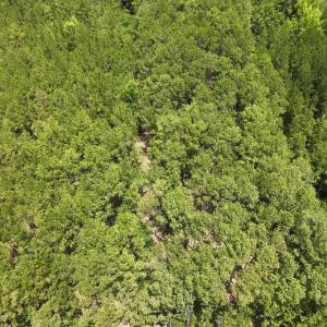 Photo #15 of 3435 Highway 430, Nichols, SC 3.1 acres