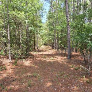 Photo #13 of 3435 Highway 430, Nichols, SC 3.1 acres