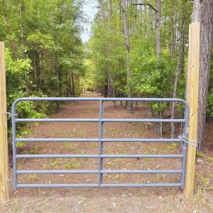 Photo #3 of 3435 Highway 430, Nichols, SC 3.1 acres