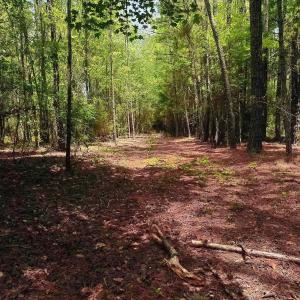 Photo #10 of 3435 Highway 430, Nichols, SC 3.1 acres