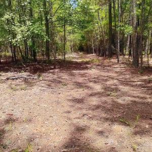 Photo #7 of 3435 Highway 430, Nichols, SC 3.1 acres
