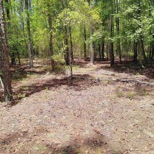Photo #8 of 3435 Highway 430, Nichols, SC 3.1 acres