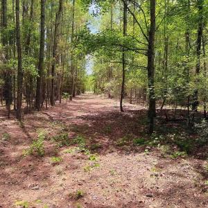 Photo #12 of 3435 Highway 430, Nichols, SC 3.1 acres