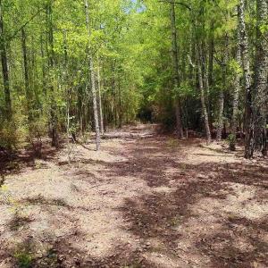 Photo #11 of 3435 Highway 430, Nichols, SC 3.1 acres