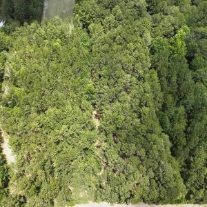 Photo #16 of 3435 Highway 430, Nichols, SC 3.1 acres