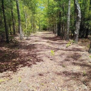 Photo #5 of 3435 Highway 430, Nichols, SC 3.1 acres