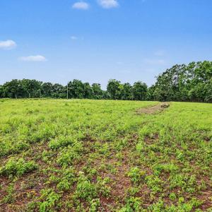 Photo #8 of TBD Mitchell Sea Rd., Green Sea, SC 49.0 acres