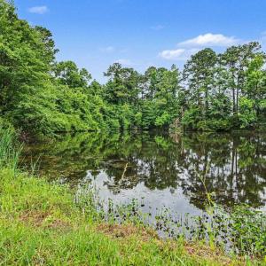 Photo #10 of TBD Mitchell Sea Rd., Green Sea, SC 49.0 acres