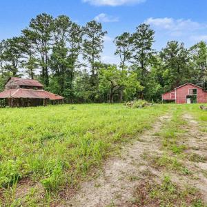 Photo #6 of TBD Mitchell Sea Rd., Green Sea, SC 49.0 acres