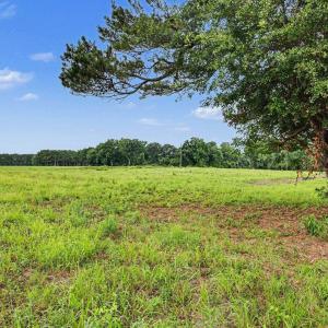 Photo #7 of TBD Mitchell Sea Rd., Green Sea, SC 49.0 acres