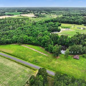 Photo #18 of TBD Mitchell Sea Rd., Green Sea, SC 49.0 acres