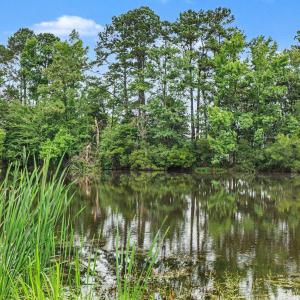 Photo #11 of TBD Mitchell Sea Rd., Green Sea, SC 49.0 acres