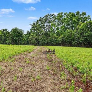 Photo #9 of TBD Mitchell Sea Rd., Green Sea, SC 49.0 acres