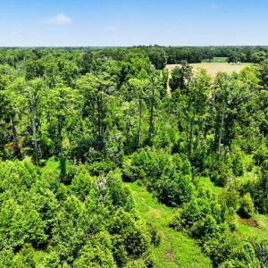 Photo #20 of TBD Mitchell Sea Rd., Green Sea, SC 49.0 acres