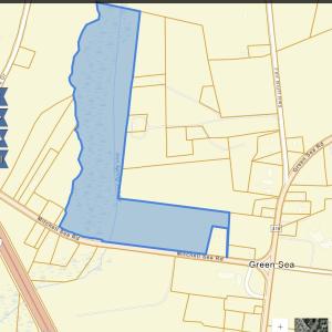 Photo #25 of TBD Mitchell Sea Rd., Green Sea, SC 49.0 acres