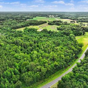 Photo #21 of TBD Mitchell Sea Rd., Green Sea, SC 49.0 acres