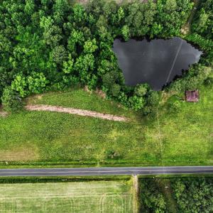 Photo #14 of TBD Mitchell Sea Rd., Green Sea, SC 49.0 acres