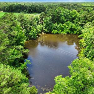 Photo #19 of TBD Mitchell Sea Rd., Green Sea, SC 49.0 acres