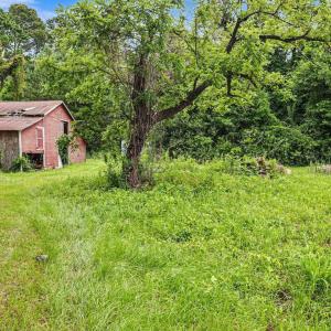 Photo #4 of TBD Mitchell Sea Rd., Green Sea, SC 49.0 acres