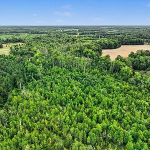Photo #22 of TBD Mitchell Sea Rd., Green Sea, SC 49.0 acres