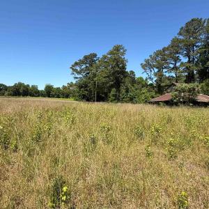 Photo #1 of TBD Mitchell Sea Rd., Green Sea, SC 49.0 acres