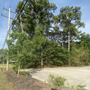 Photo #10 of 9842 Ocean Hwy., Pawleys Island, SC 5.6 acres