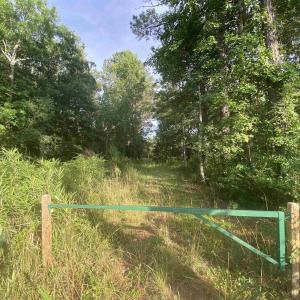 Photo #12 of 9842 Ocean Hwy., Pawleys Island, SC 5.6 acres