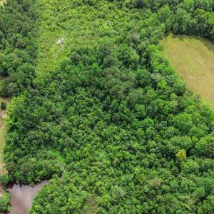 Photo #9 of Lot 4 Sheila Dr., Johnsonville, SC 7.1 acres