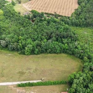 Photo #5 of Lot 4 Sheila Dr., Johnsonville, SC 7.1 acres