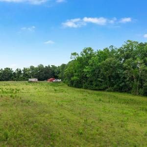 Photo #3 of Lot 4 Sheila Dr., Johnsonville, SC 7.1 acres