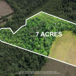 Photo #10 of Lot 4 Sheila Dr., Johnsonville, SC 7.1 acres