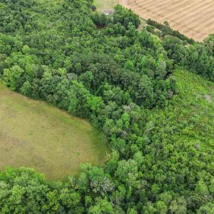 Photo #2 of Lot 4 Sheila Dr., Johnsonville, SC 7.1 acres