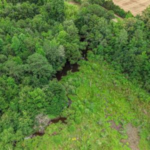 Photo #12 of Lot 4 Sheila Dr., Johnsonville, SC 7.1 acres