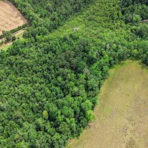 Photo #11 of Lot 4 Sheila Dr., Johnsonville, SC 7.1 acres