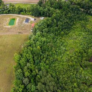 Photo #7 of Lot 3 Sheila Dr., Johnsonville, SC 9.8 acres