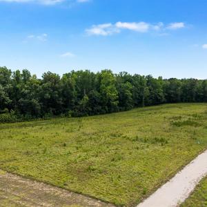 Photo #3 of Lot 3 Sheila Dr., Johnsonville, SC 9.8 acres